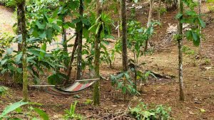 20220818_110201-Edit