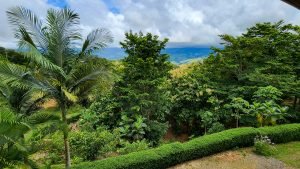 20220818_110734-Edit