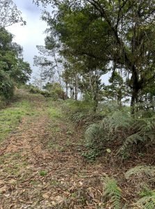 Foto 12-1-23 13 58 24