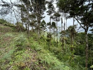 Foto 12-1-23 13 59 36