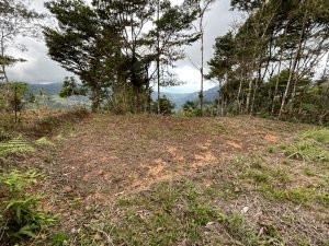 Foto 12-1-23 14 01 52