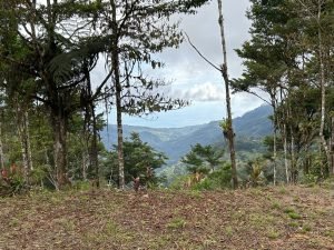 Foto 12-1-23 14 02 08