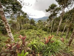 Foto 12-1-23 14 03 12