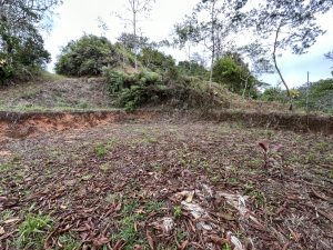 Foto 12-1-23 14 03 39