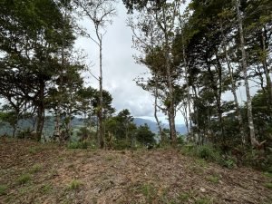 Foto 12-1-23 14 04 44