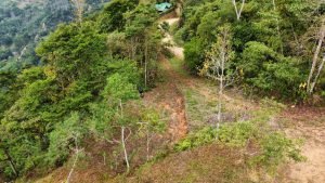 Foto 12-1-23 14 18 16