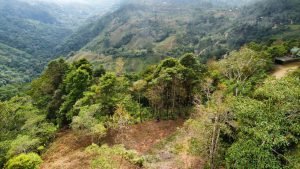 Foto 12-1-23 14 20 06