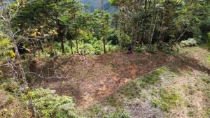 Foto 12-1-23 14 21 00