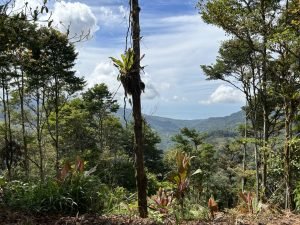 Foto 13-1-23 10 34 57