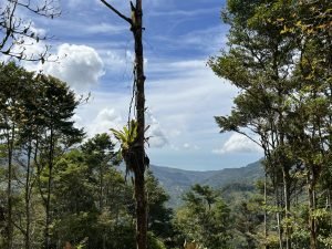 Foto 13-1-23 10 35 02