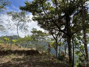 Foto 13-1-23 10 35 07