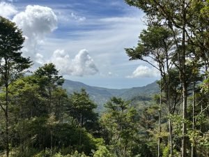 Foto 13-1-23 10 35 15