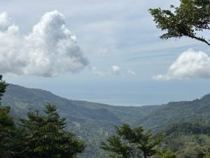 Foto 13-1-23 10 35 21