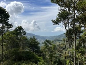 Foto 13-1-23 10 35 28