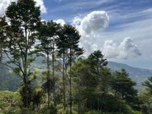 Foto 13-1-23 10 35 36