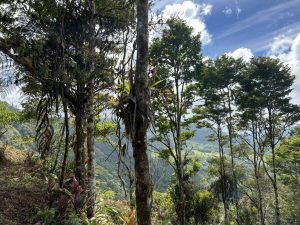 Foto 13-1-23 10 35 40