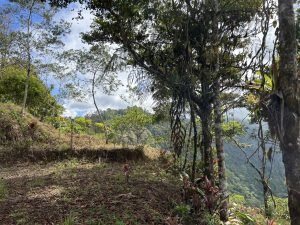 Foto 13-1-23 10 35 42