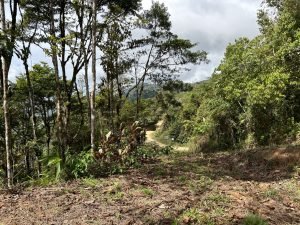 Foto 13-1-23 10 37 48