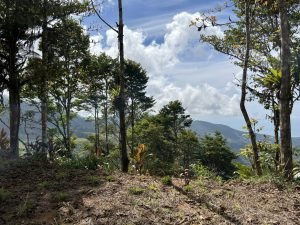 Foto 13-1-23 10 37 55