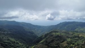 Foto 13-1-23 11 30 26