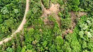 Foto 13-1-23 11 35 26 (1)