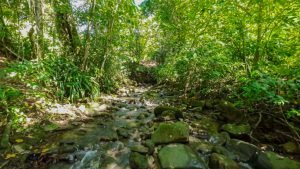 Foto 2023-12-27 09.22.51 p. m.