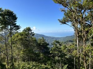 Foto 24-1-23 08 29 53