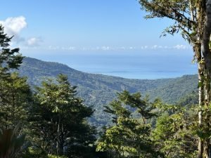 Foto 24-1-23 08 31 41