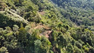 Foto 24-1-23 08 49 44