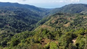 Foto 24-1-23 08 53 20