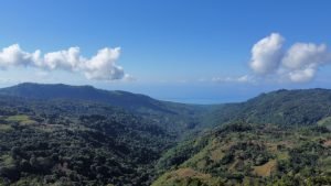 Foto 24-1-23 08 56 32