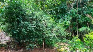 Optimized by JPEGmini 3.18.17.230625896-TBTBLNP 0x808978fe