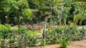 Optimized by JPEGmini 3.18.17.230625896-TBTBLNP 0x8c97c7da