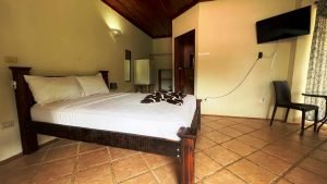 Optimized by JPEGmini 3.18.17.230625896-TBTBLNP 0x61b72ed2