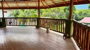 Optimized by JPEGmini 3.18.17.230625896-TBTBLNP 0x1d6d8e5e