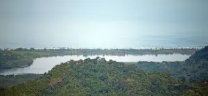 IMG_4176-980×450