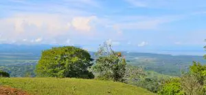 IMG_4233-980×450