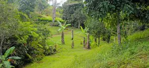 IMG_4257-980×450