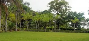 IMG_4266-980×450