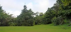 IMG_4271-980×450