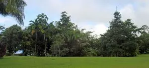 IMG_4273-980×450