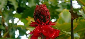IMG_4316-980×450