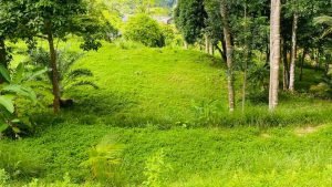 Imagen de WhatsApp 1