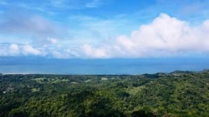 Imagen de WhatsApp 10