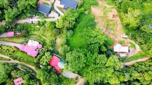 Imagen de WhatsApp 13