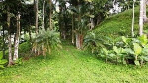 Imagen de WhatsApp 15