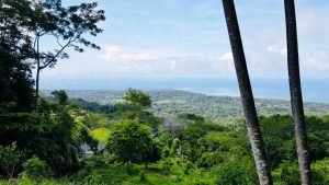 Imagen de WhatsApp 16