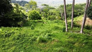 Imagen de WhatsApp 17