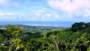 Imagen de WhatsApp 18