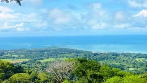 Imagen de WhatsApp 22